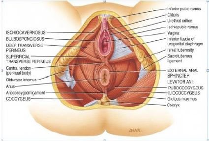 fistula hospital in gurgaon fistula clinic in gurgaon