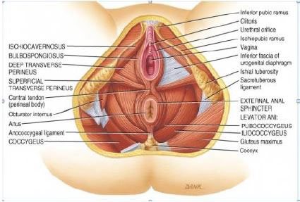 fistula clinic in gurgaon